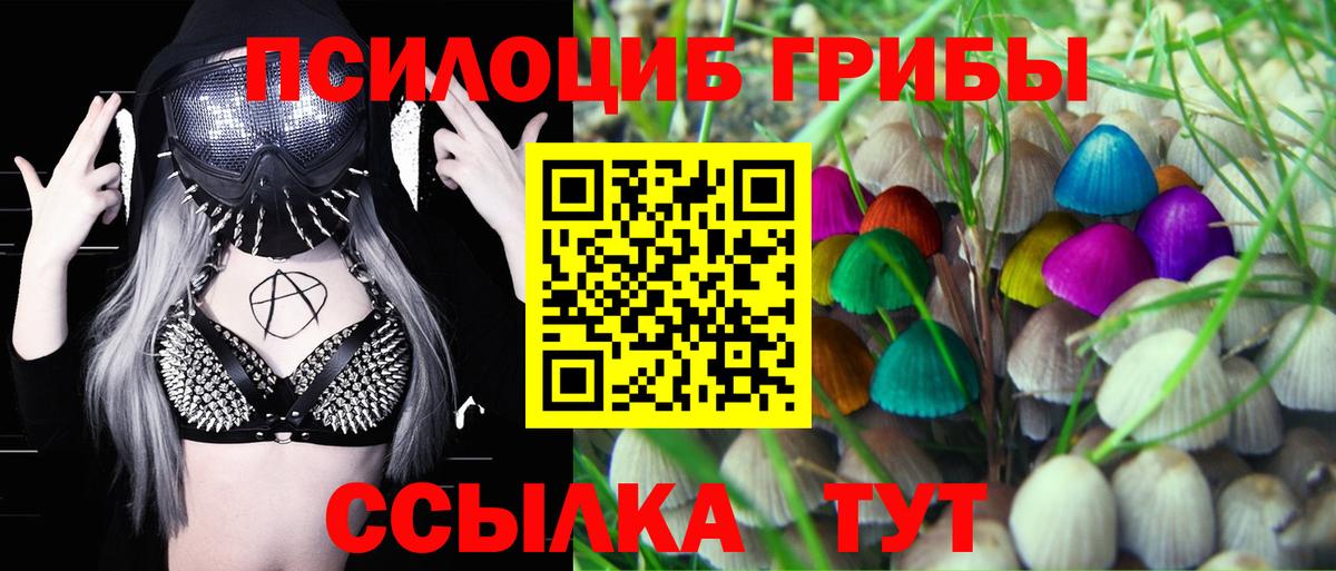 Псилоцибиновые грибы MAGIC MUSHROOMS  Вход с VPN  Реж 